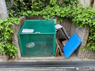 ブランシュ甲東園の物件外観写真